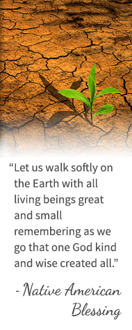 Let us walk softly on the Earth with all living beings great and small remembering as we go that one God kind and wise created all. - Native American Blessing